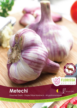 Garlic