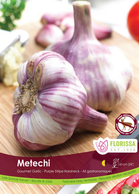 Garlic