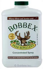 Bobbex - Concentrate