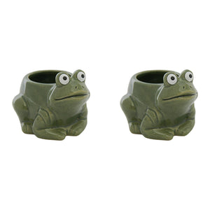 Frog Ceramic Planter