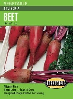 Beet - Beet Cylindria