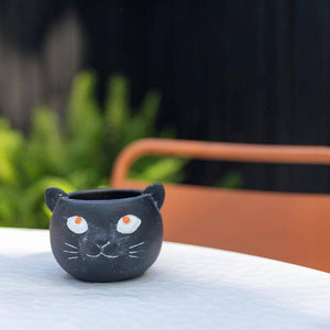 Cement Cat, Flower pot