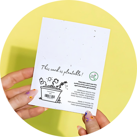 Succulents - Greeting Card