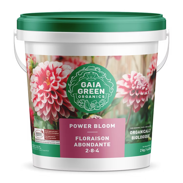 Gaia - Power Bloom 2-8-4