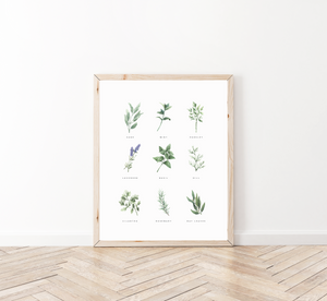 Backyard Herb Garden Art Print