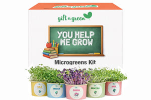 Teacher Gift Box - Sow and Grow Organic Microgreens