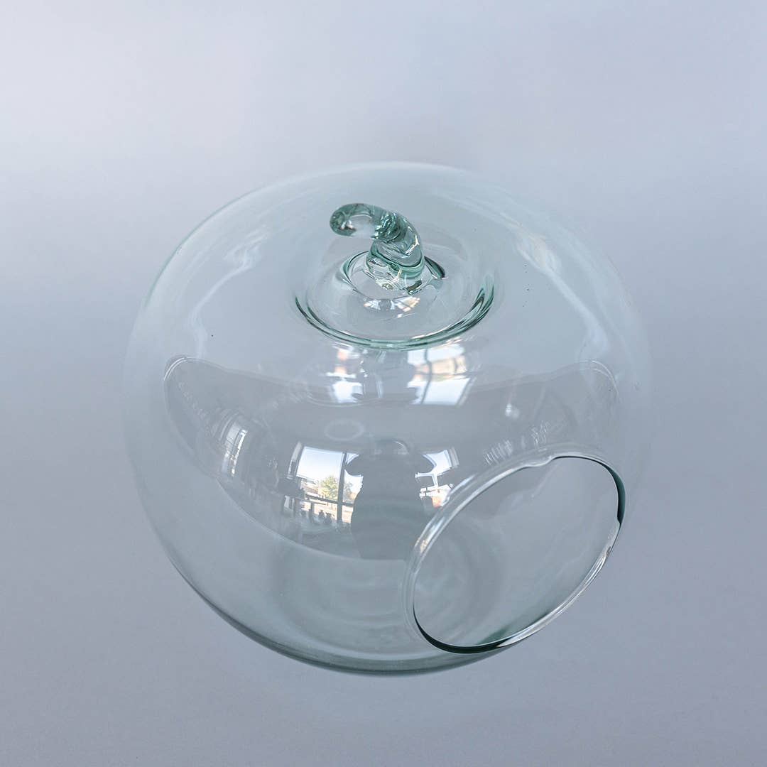 Glass Apple Terrarium