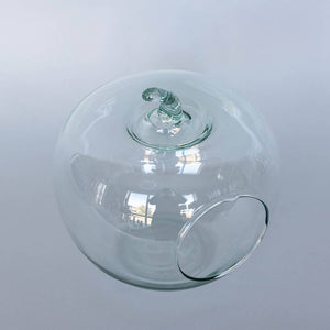 Glass Apple Terrarium