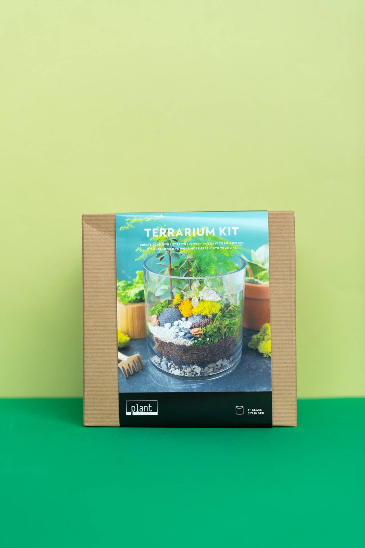 Terrarium Kit : Large Cylinder