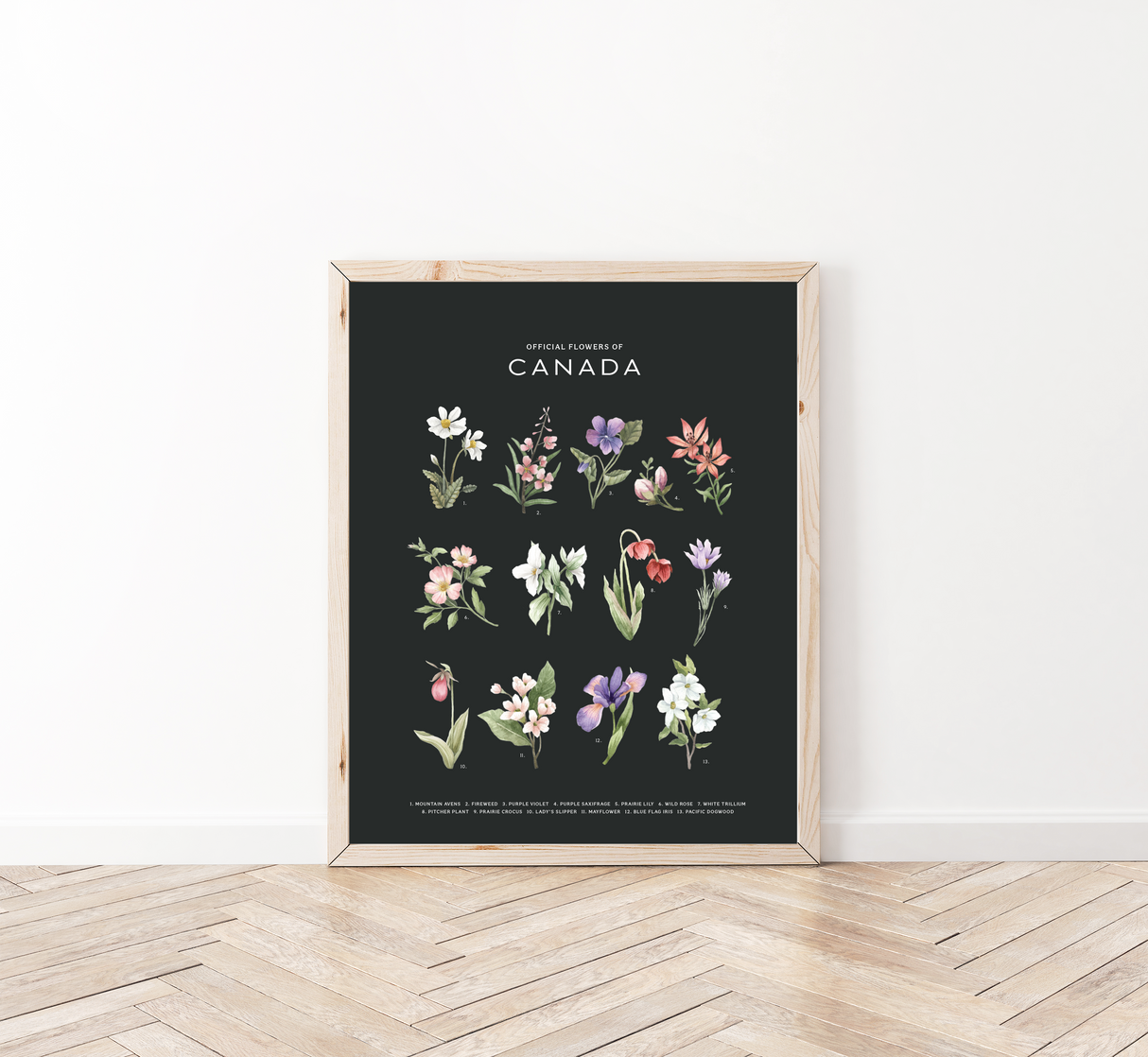 Official Flowers of Canada Art Print