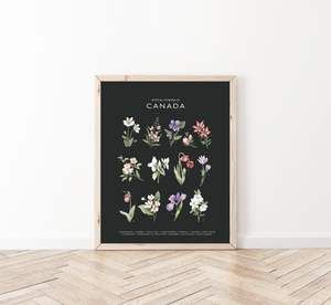 Official Flowers of Canada Art Print