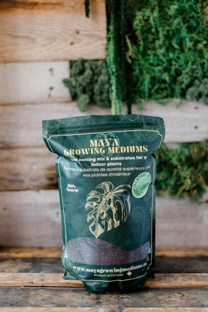 General blend-Potting soil for indoor plants