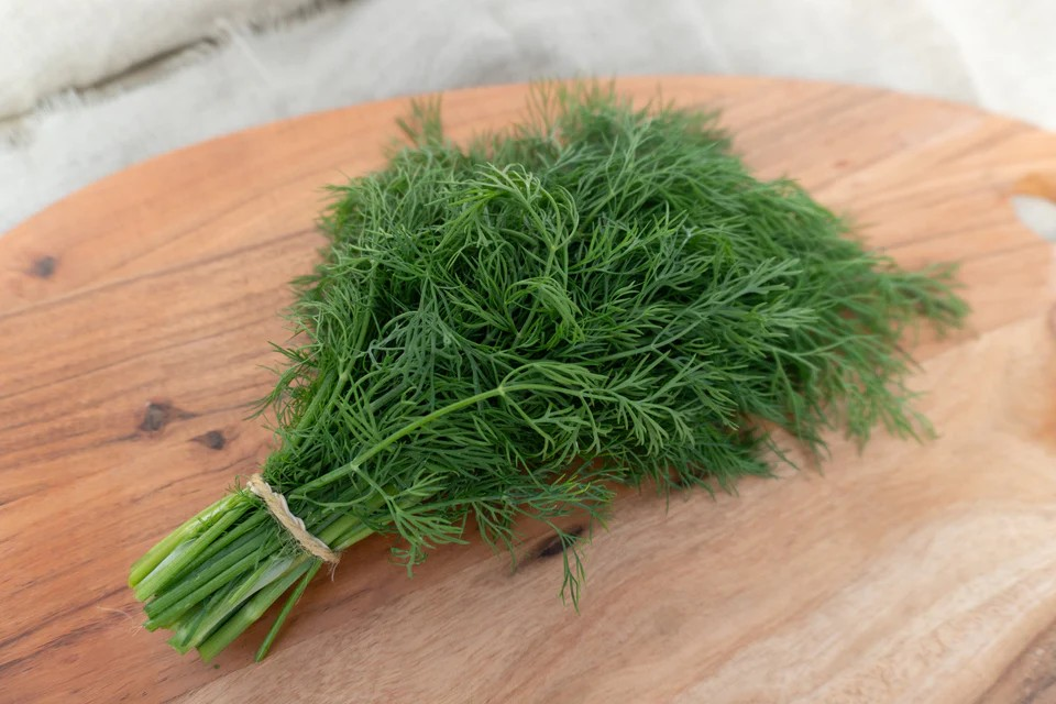 Dill - Thalia Organic