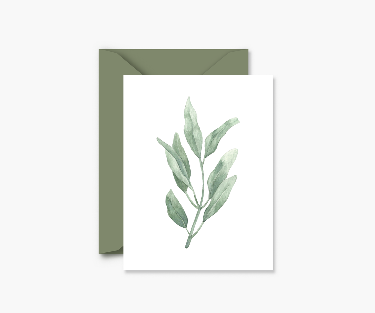 Sage Herb Everyday Greeting Card