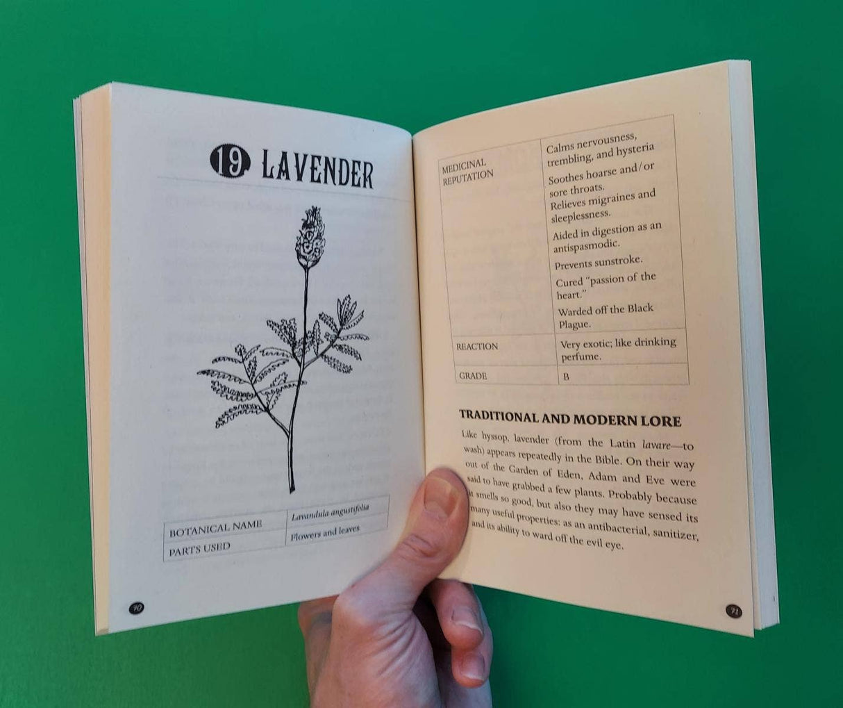 Everyday Herbal Teamaking: Health, Fun, and Self-Care Guide