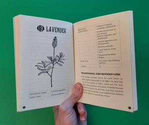 Everyday Herbal Teamaking: Health, Fun, and Self-Care Guide