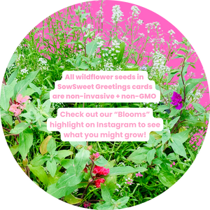 Pressed Flowers - Plantable Card Boxed Set