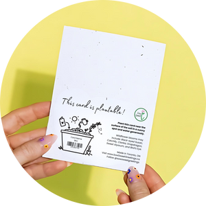 Pressed Flowers - Plantable Card Boxed Set