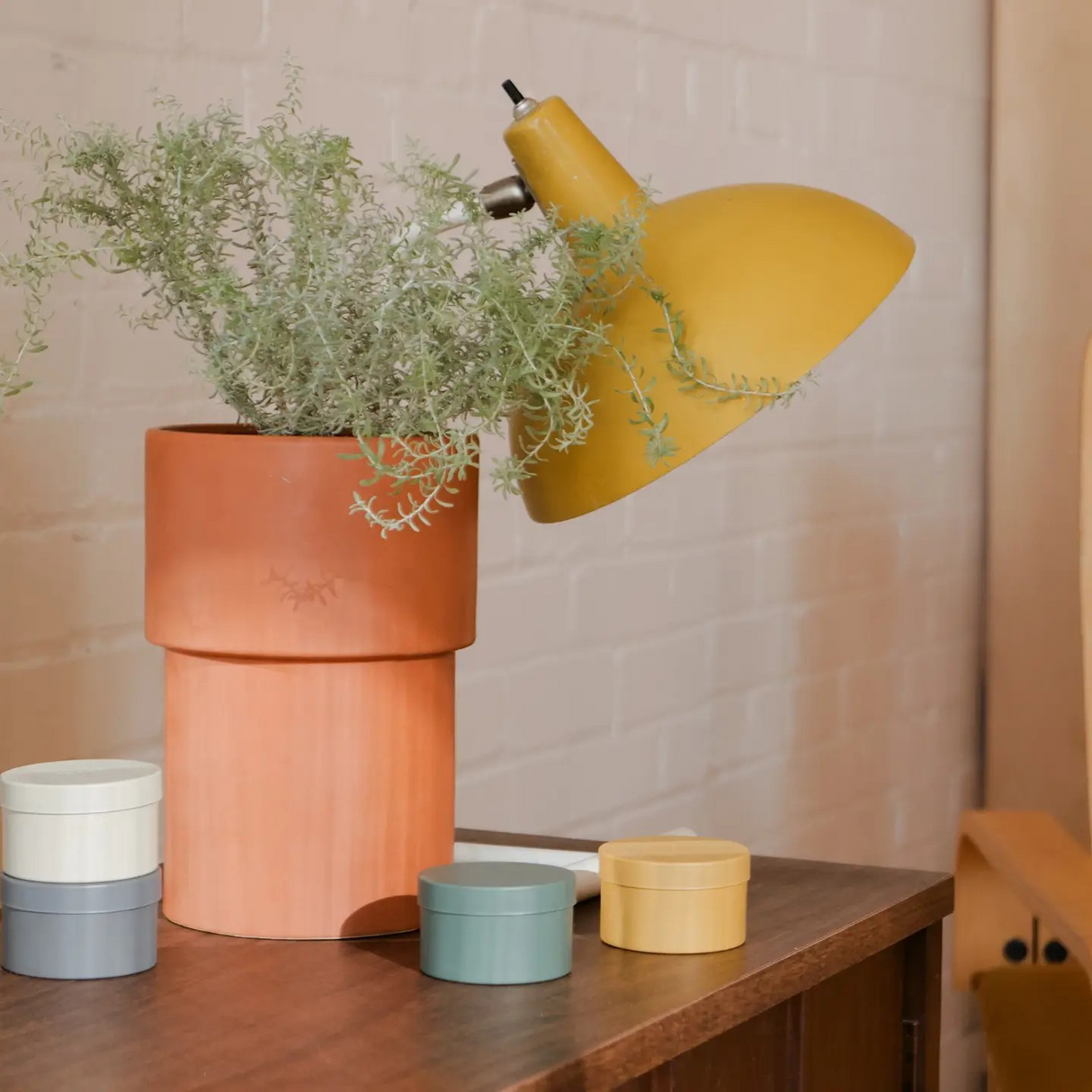 The Librarian Tin Candle - Paper + Musk