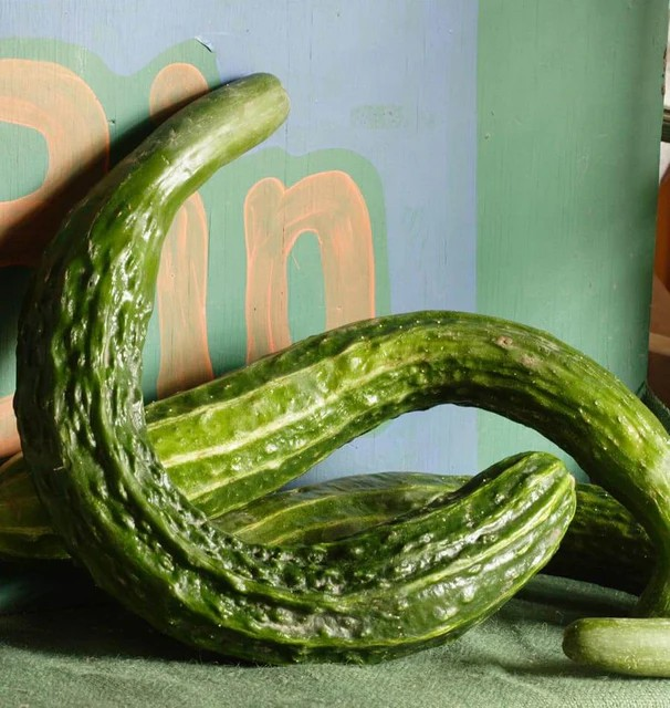 Cucumbers - Suyo Long Certified Organic