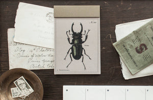 Beetle Lined Paper Notepad
