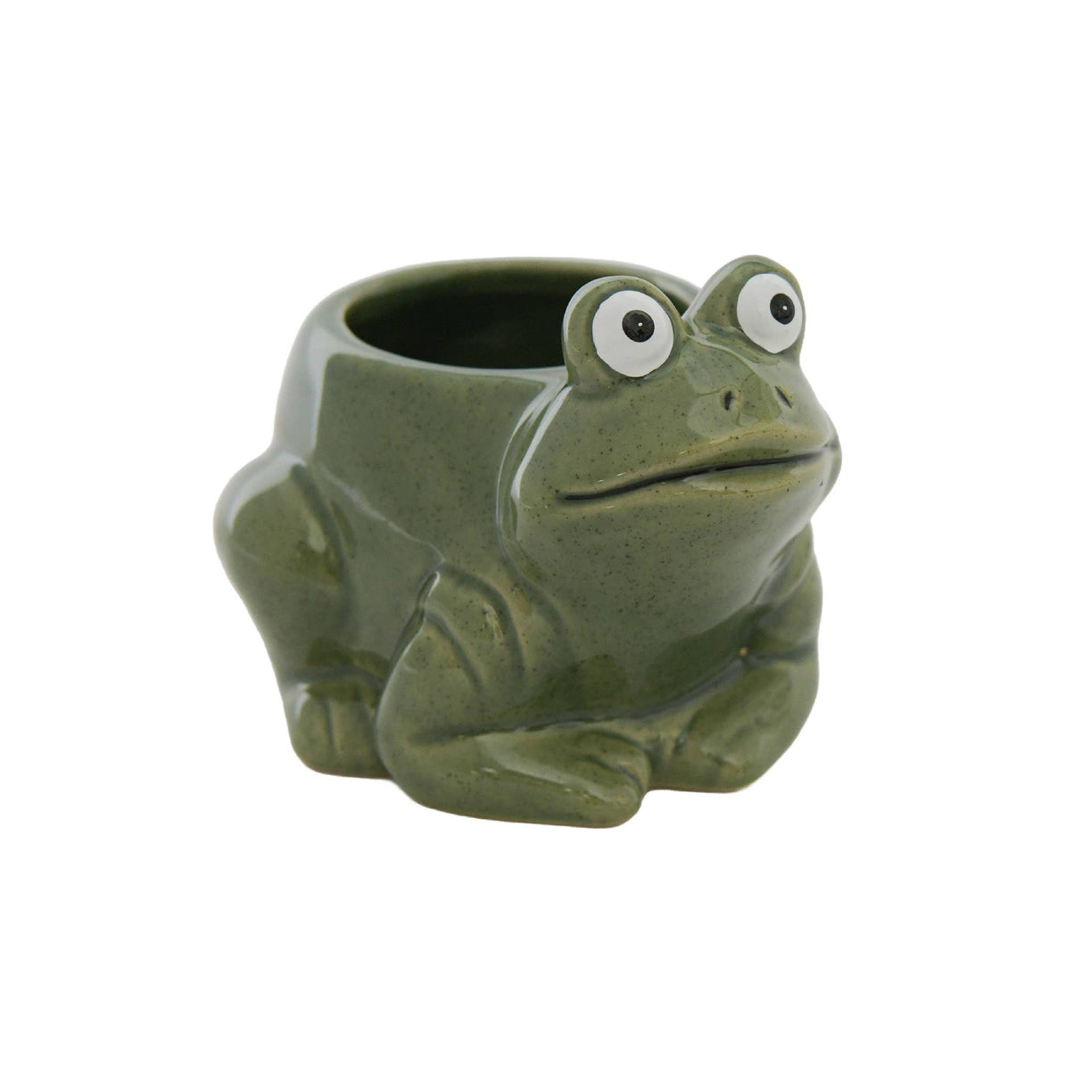 Frog Ceramic Planter