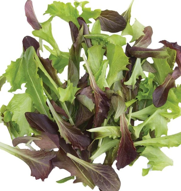 Lettuce - Baby Leaf 'Fast & Furious Blend'