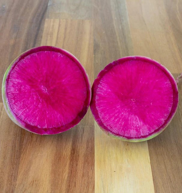 Radishes - Rido Red F1
