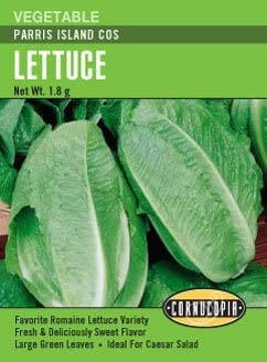 Lettuce - Lettuce Parris Island Cos