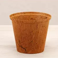 CocoCoir Pot