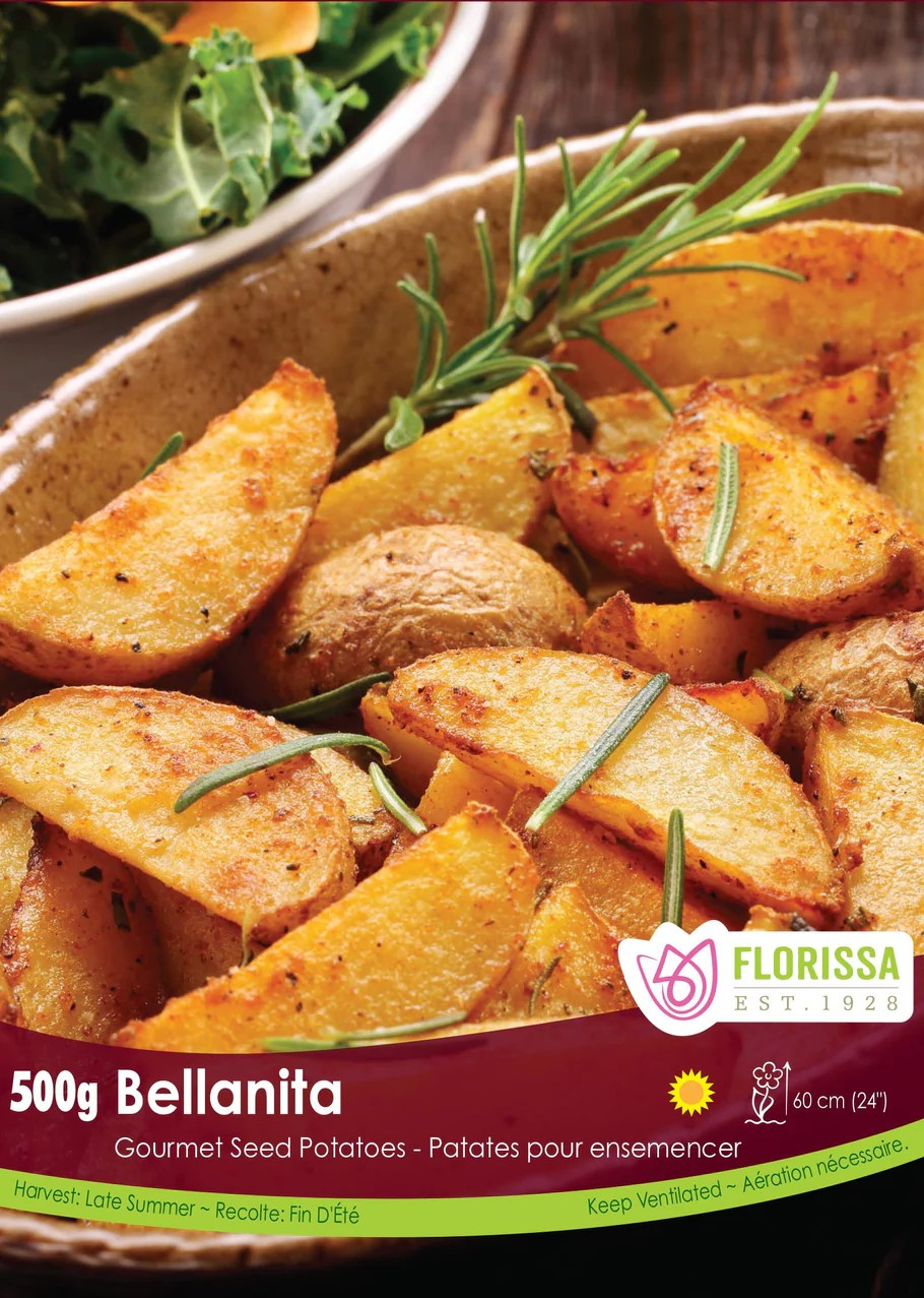 POTATOES - Gourmet Bellanita Fingerling