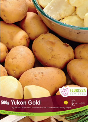 POTATOES - Yukon Gold