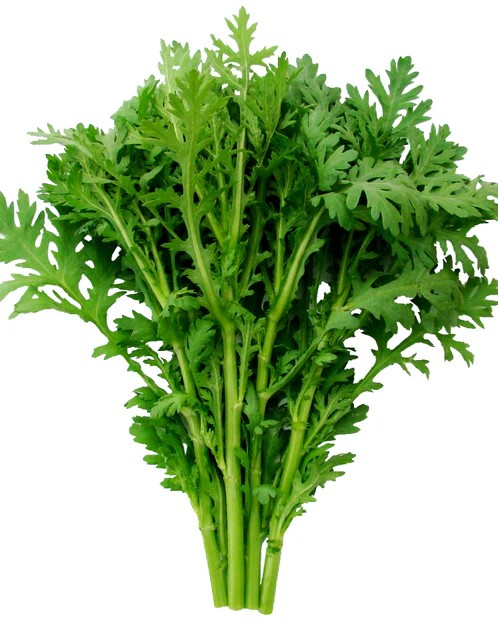 Shungiku - Frilly Edible Chrysanthemum