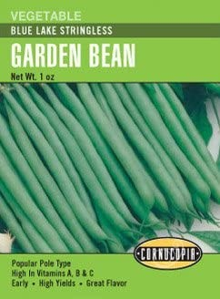 Bean - Blue Lake Stringless