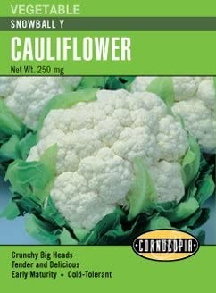Cauliflower - Snowball
