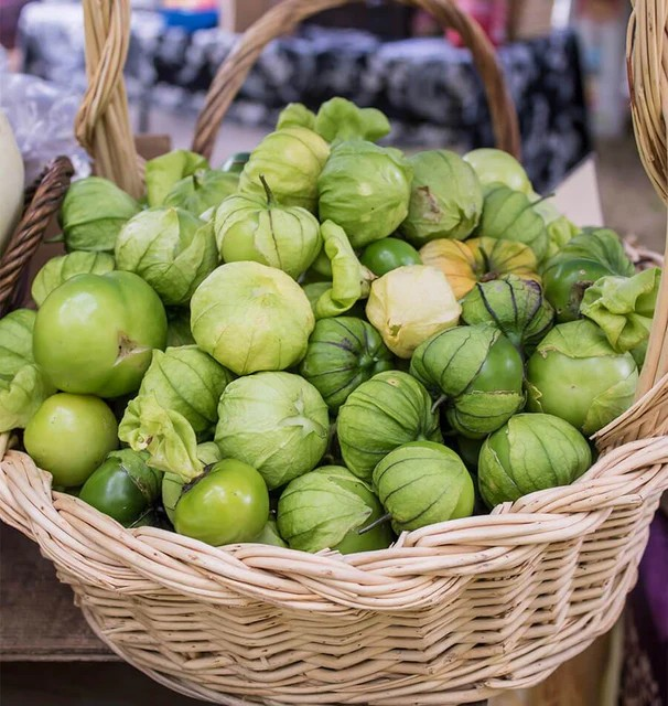 Tomatillo - Toma Verde