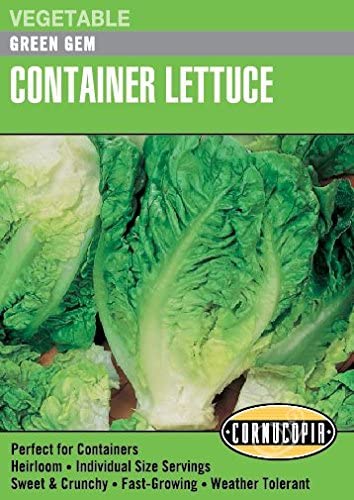 Lettuce - Lettuce Green Gem