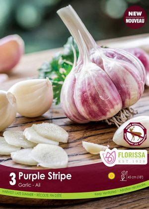 Garlic
