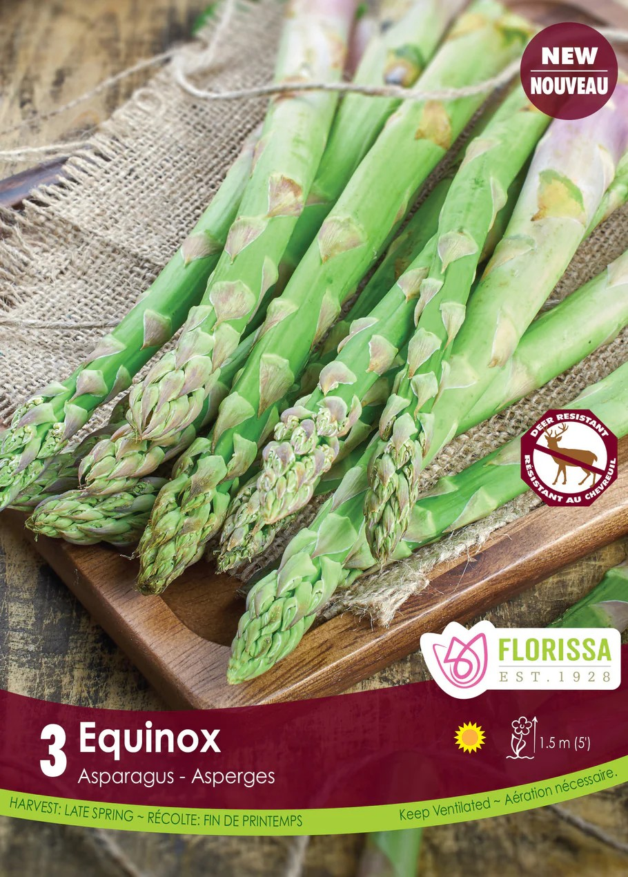 ASPARAGUS Equinox