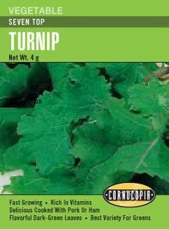 Turnip - Turnip Seven Top