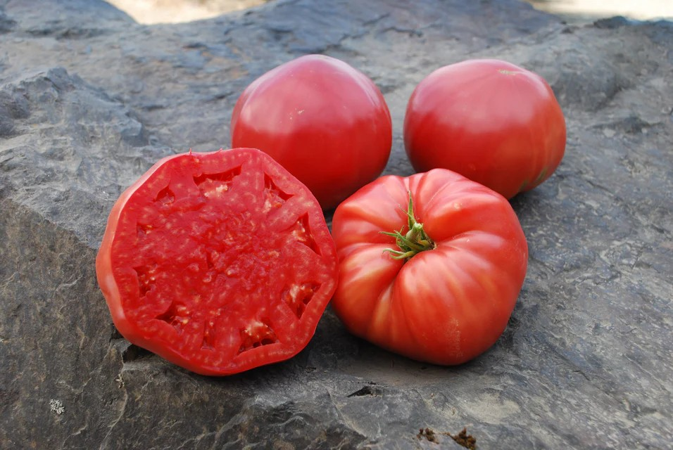 Tomatoes - Mortgage Lifter - Organic