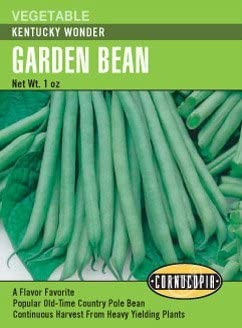 Bean - Bean Pole Kentucky Wonder