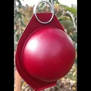 Apple Maggot Trap Kit