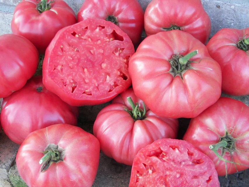 Tomatoes - Pink Brandywine - Organic