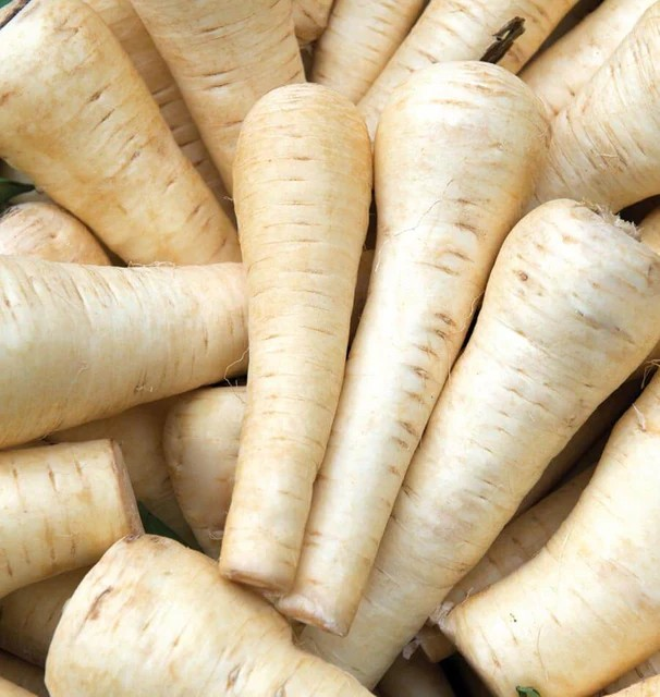 Parsnips - Gladiator