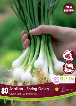ONION Sets