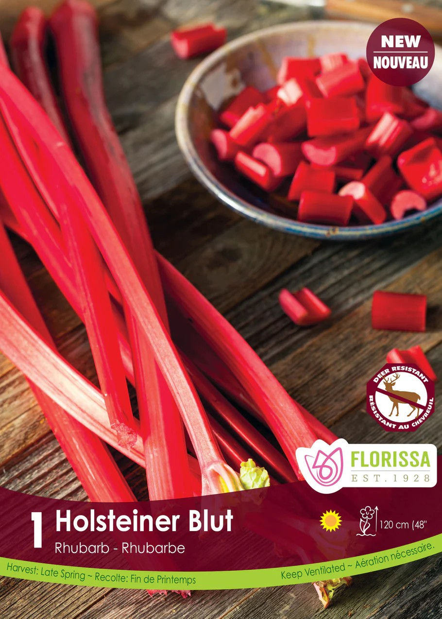 RHUBARB Holsteiner Blut