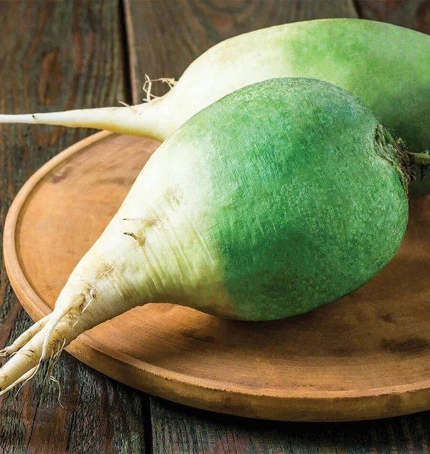 Radishes - Wasabi Radish