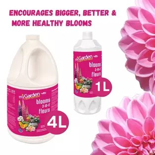 MyGarden - Liquid Fertilizer Blooms 3-10-12