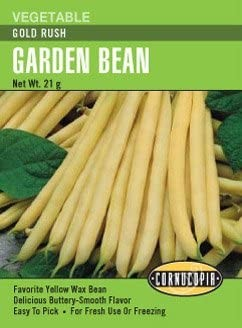 Bush Bean - Gold Rush
